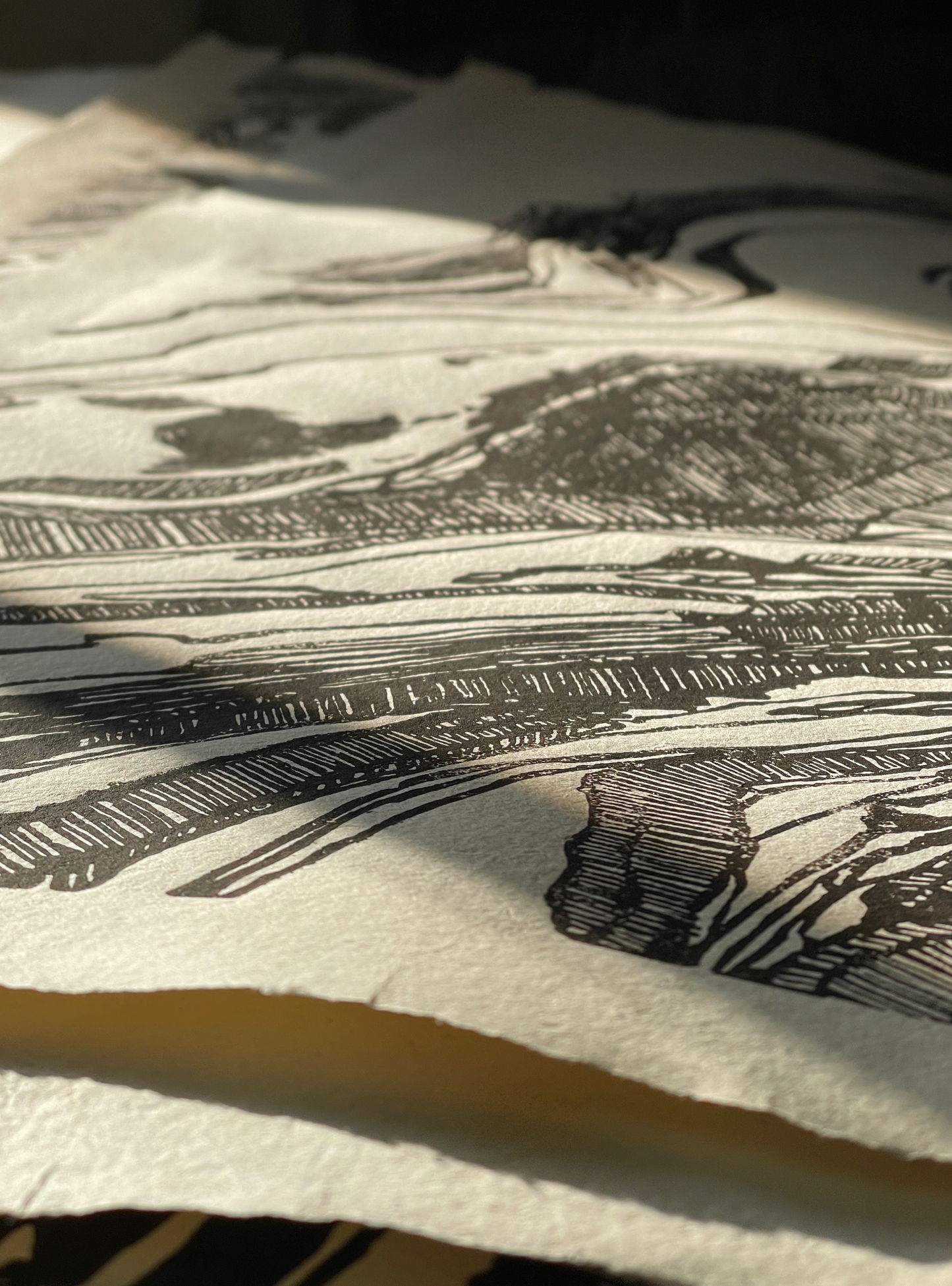 Die zweite Perspektive - limitierte Linoldruckserie