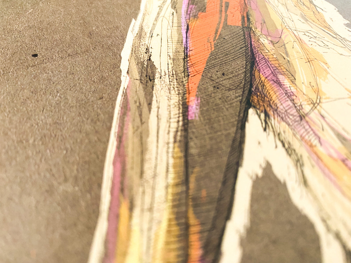 Pelican Illustration