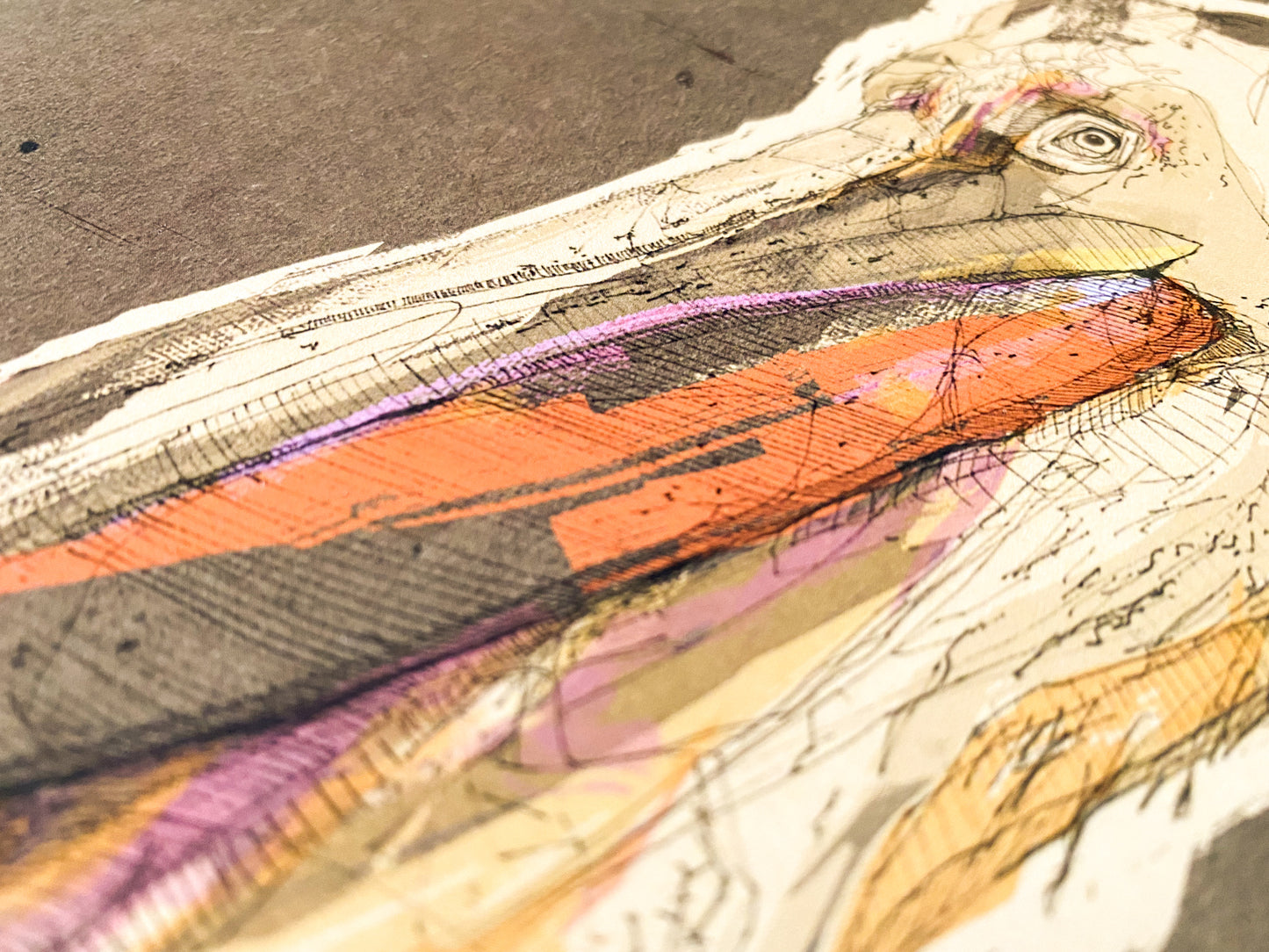 Pelican Illustration