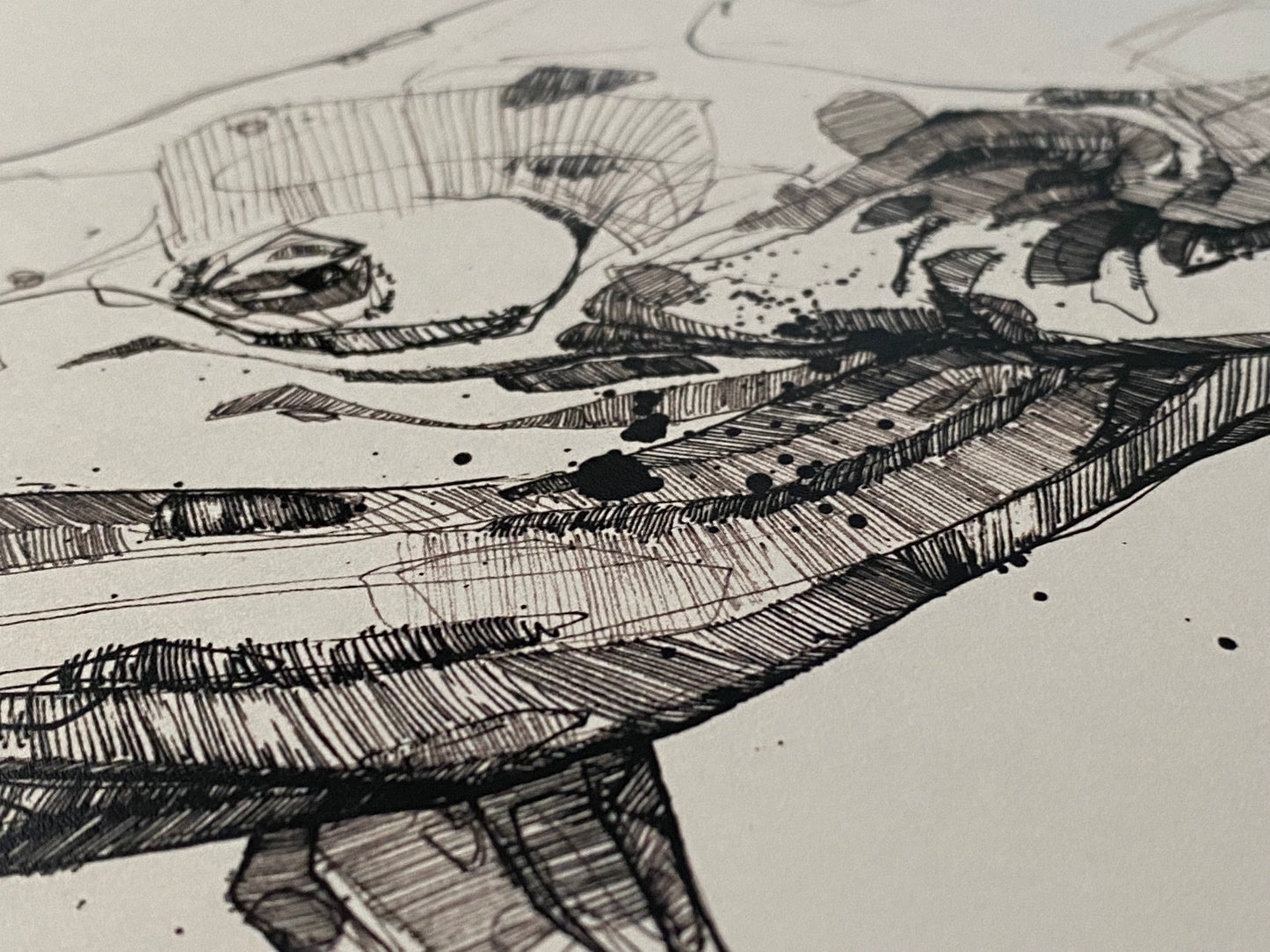 Humpback whale - ink drawing