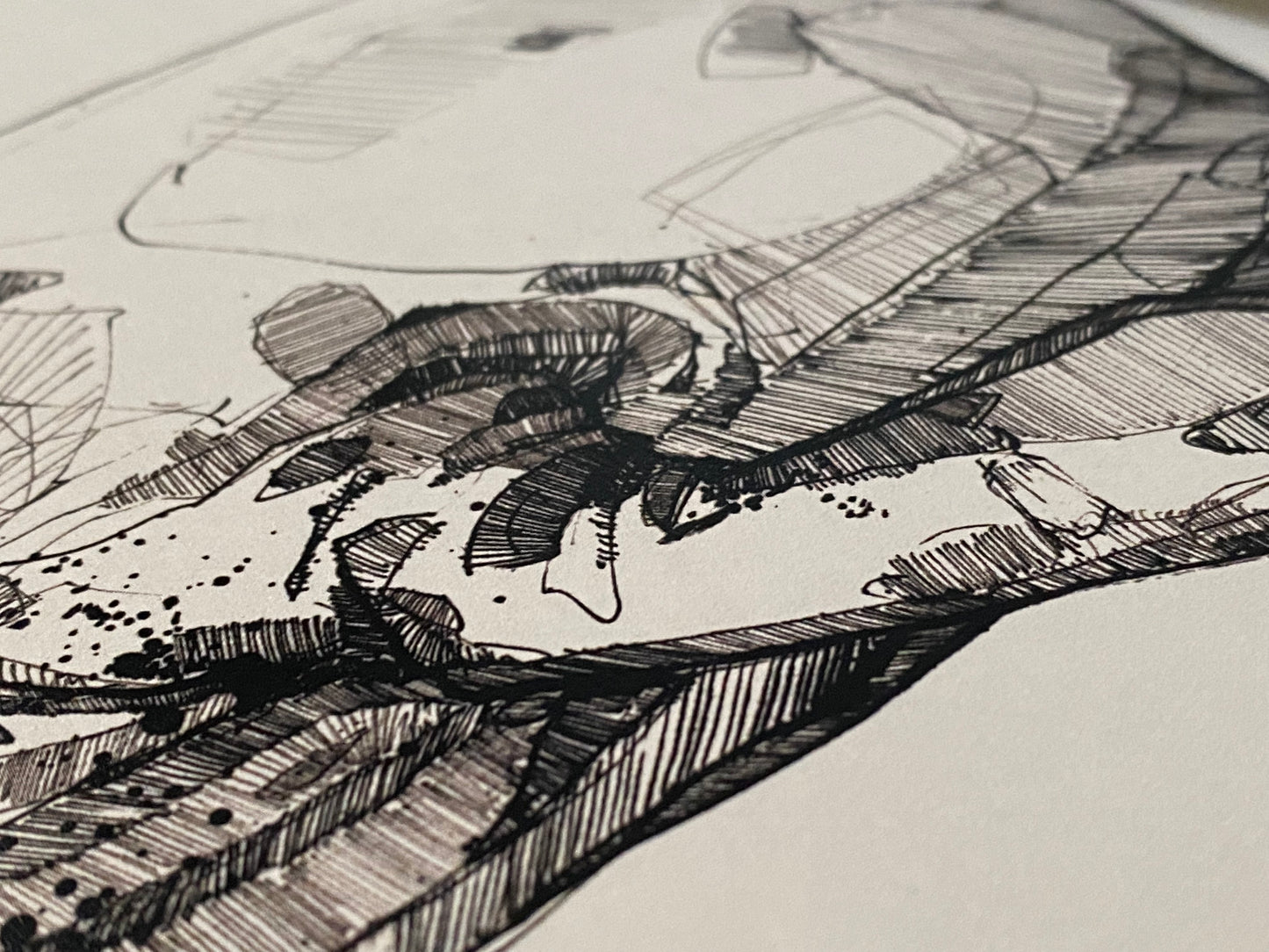 Humpback whale - ink drawing