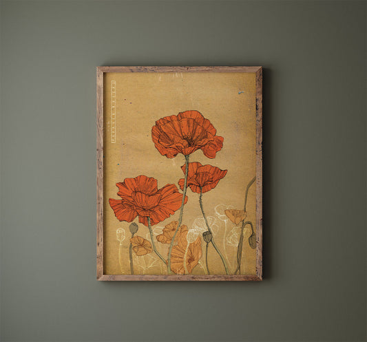 Poppy Illustration