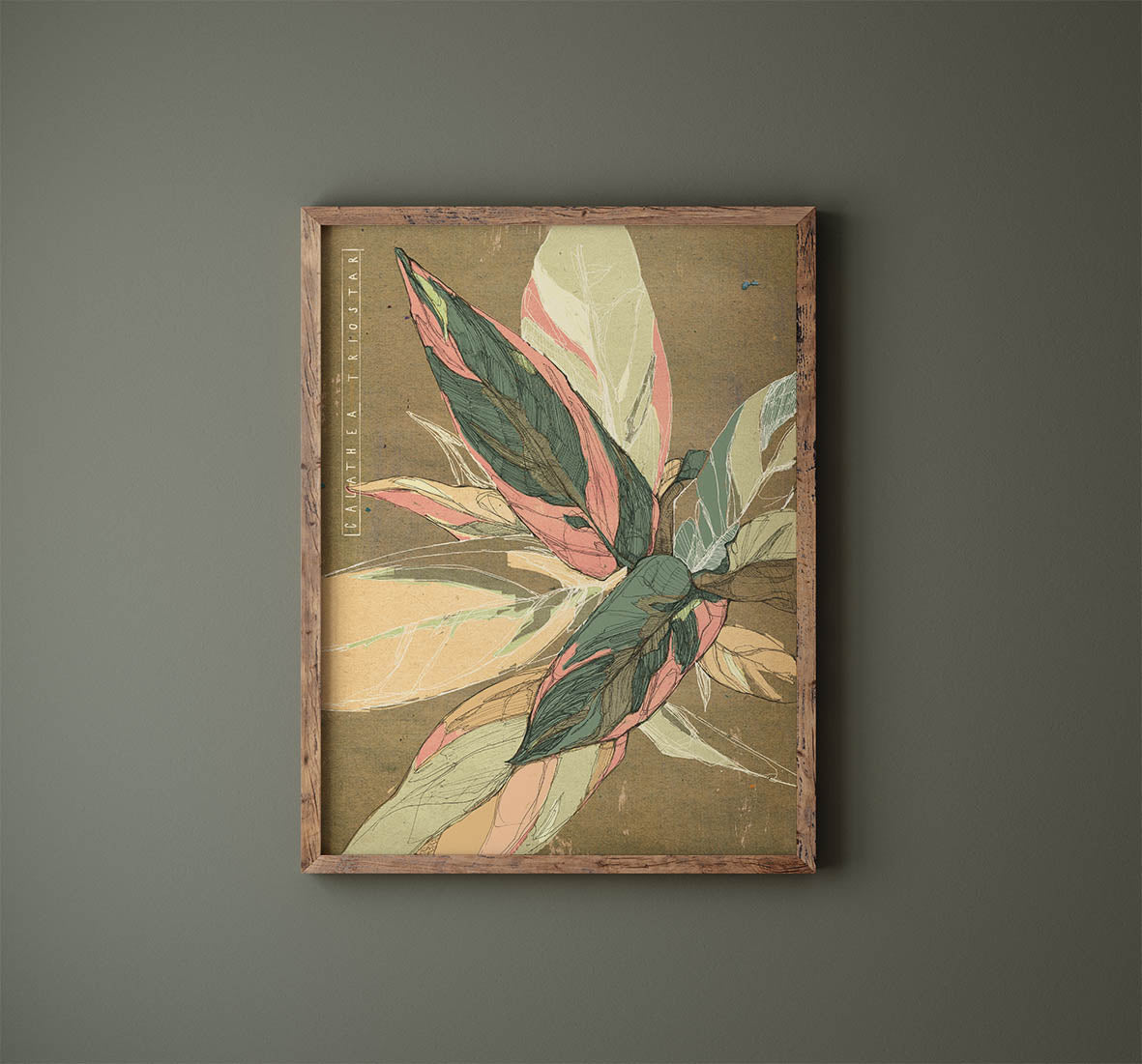 Triostar Illustration