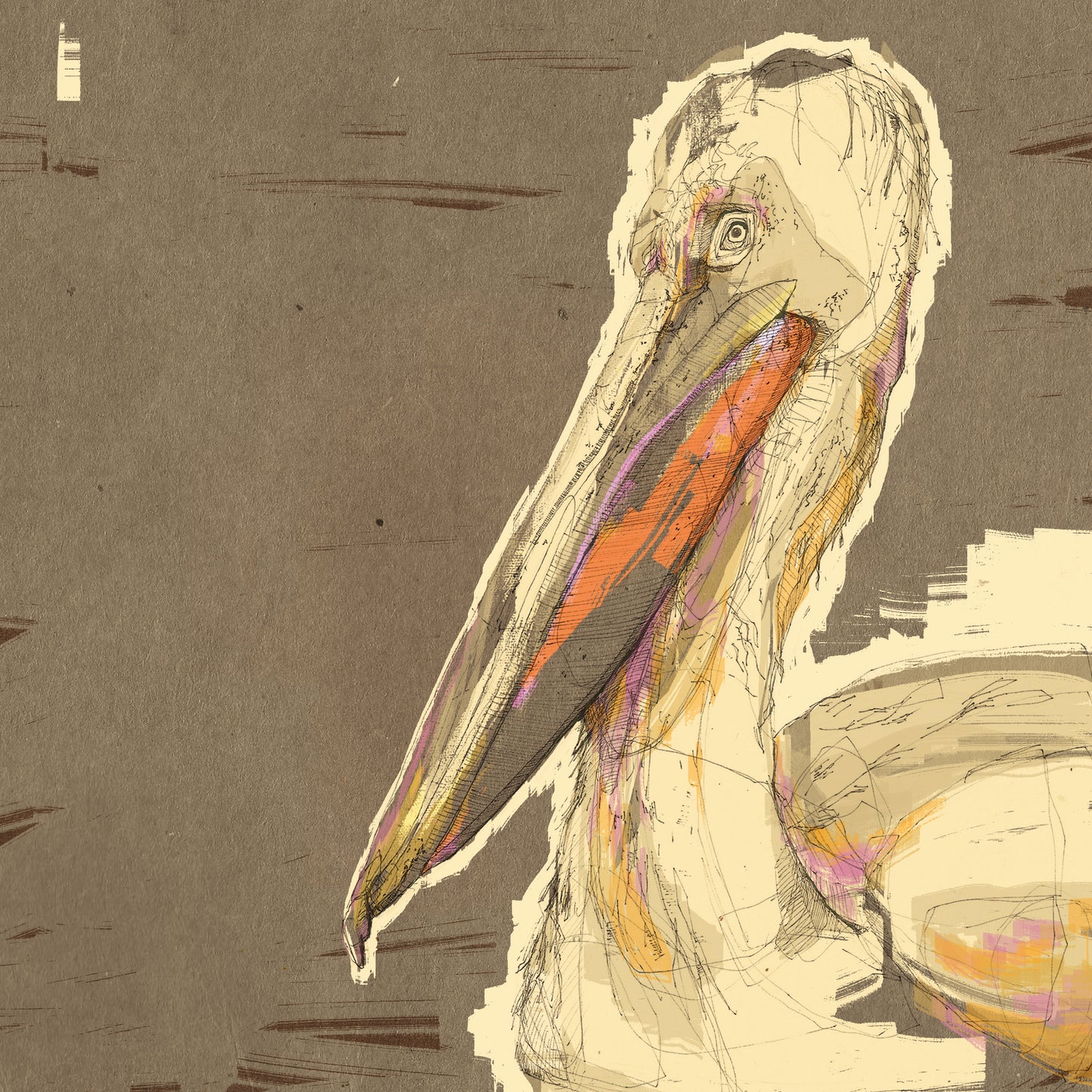 Pelican Illustration