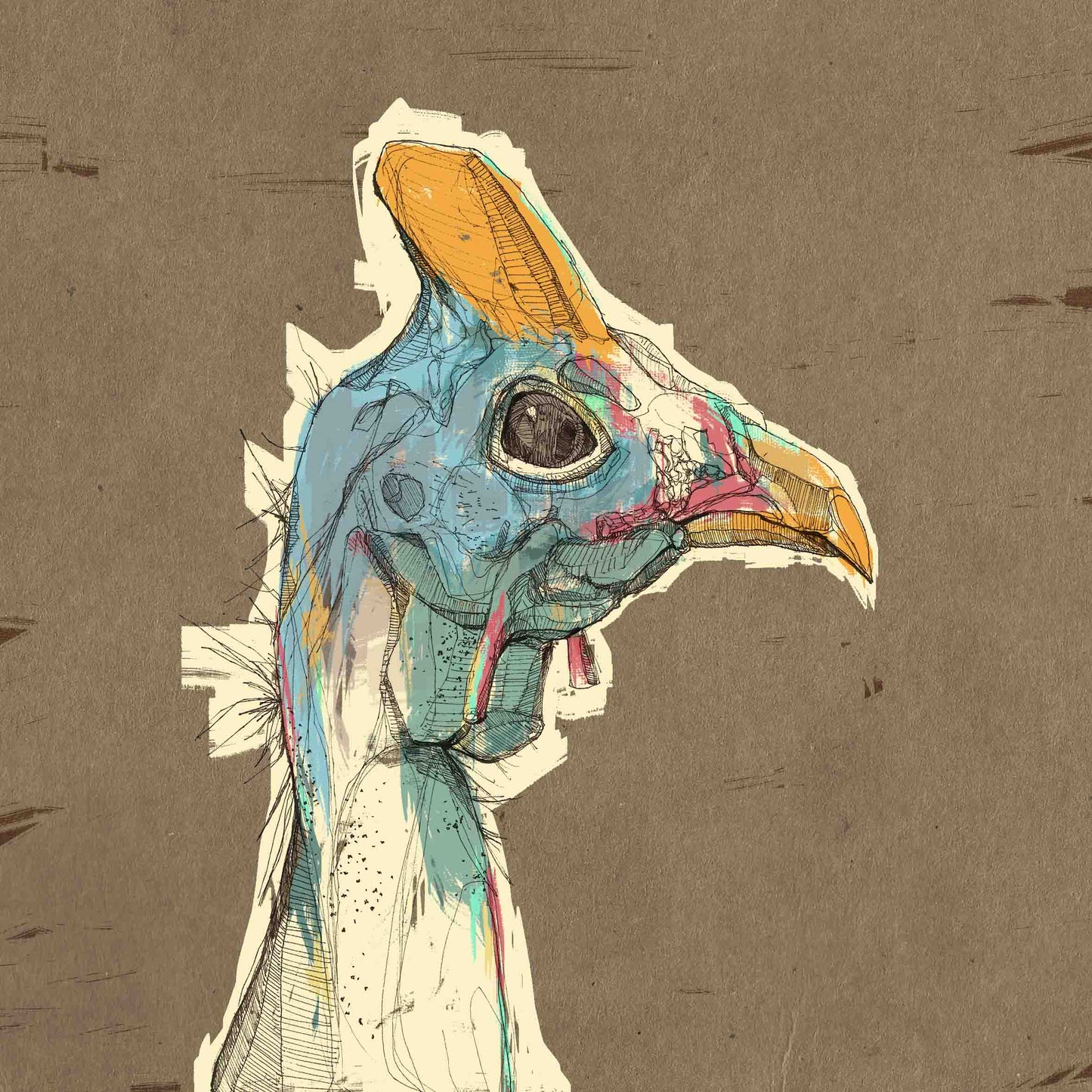 Dinosaur bird illustration