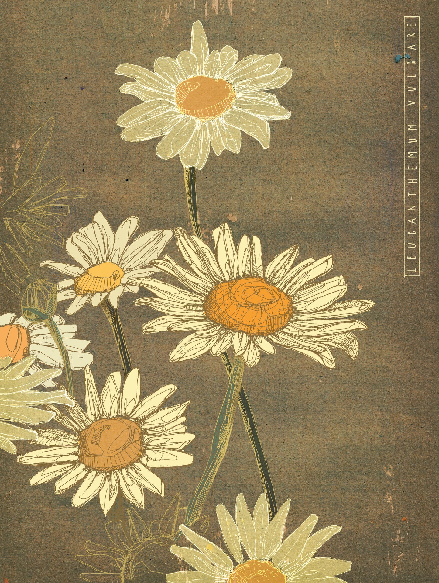 Botanical Postcard Set