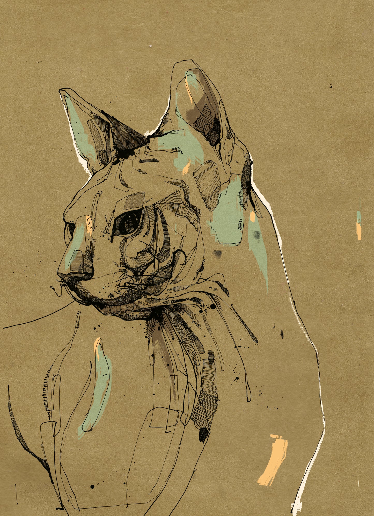 Cat Illustration