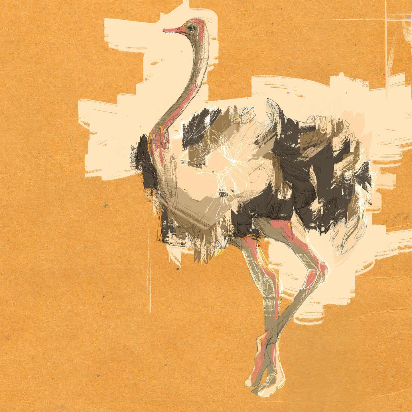 Strauss Illustration