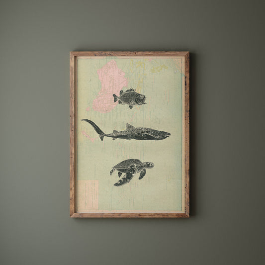 Sea Animal Love