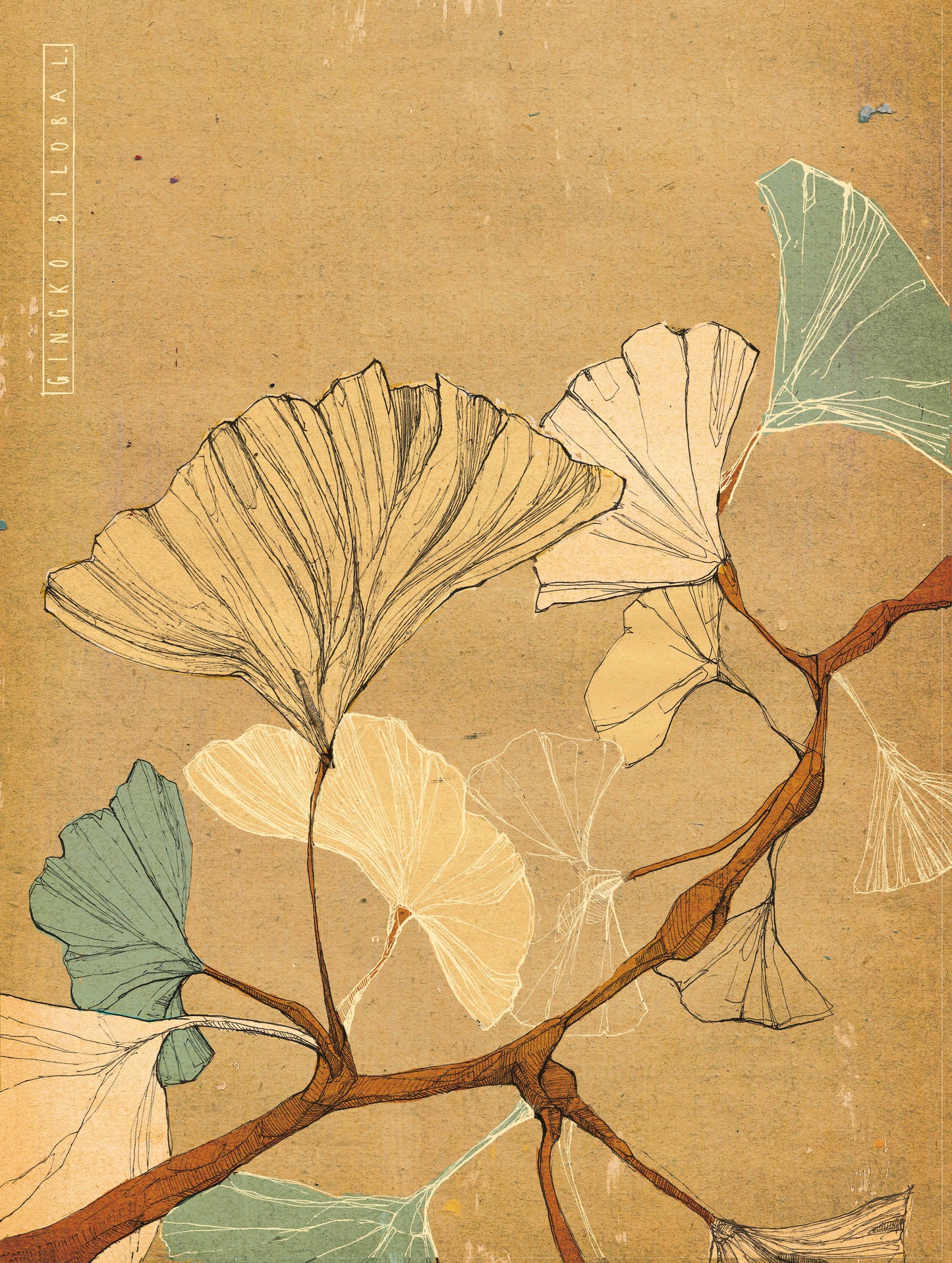 Botanical Postcard Set