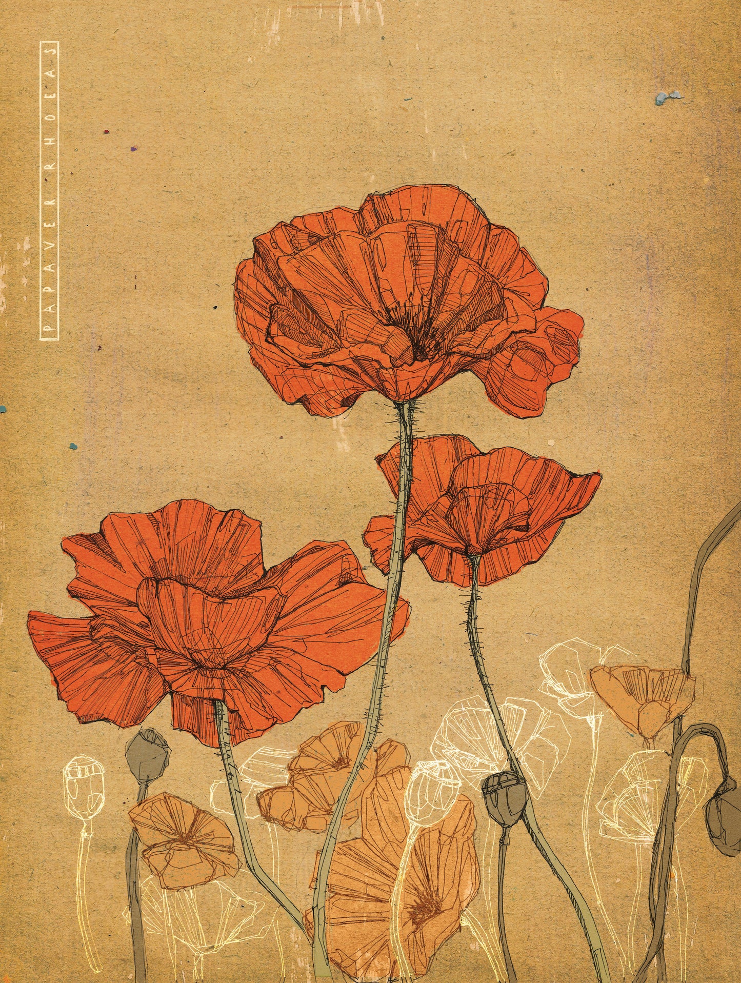 Botanical Postcard Set