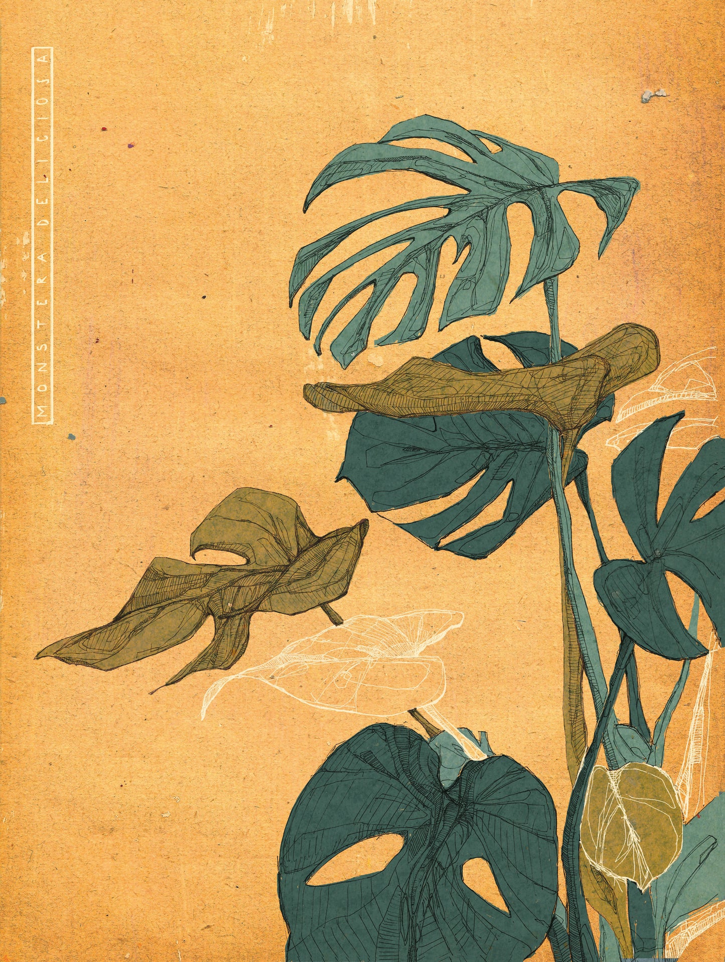 Botanical Postcard Set