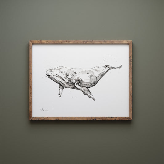 Wale Illustration Print